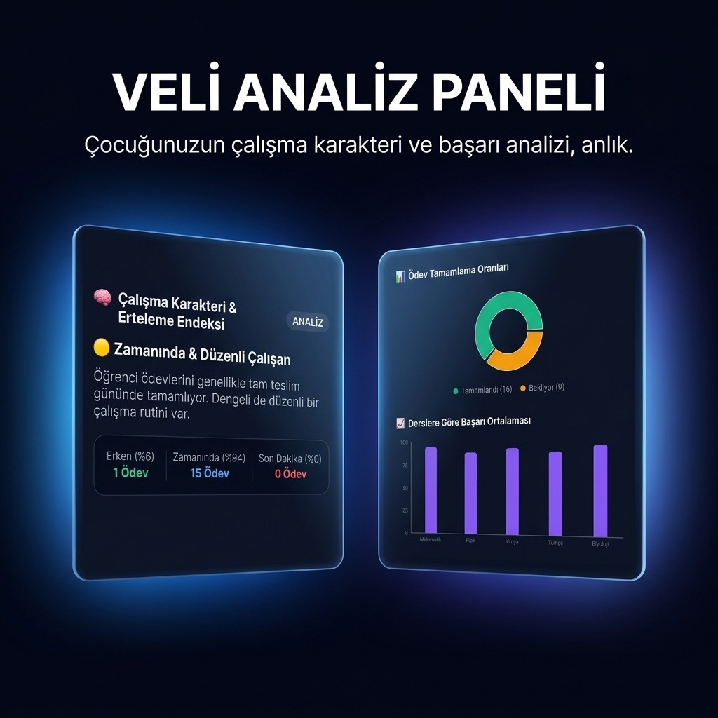 Veli Analiz